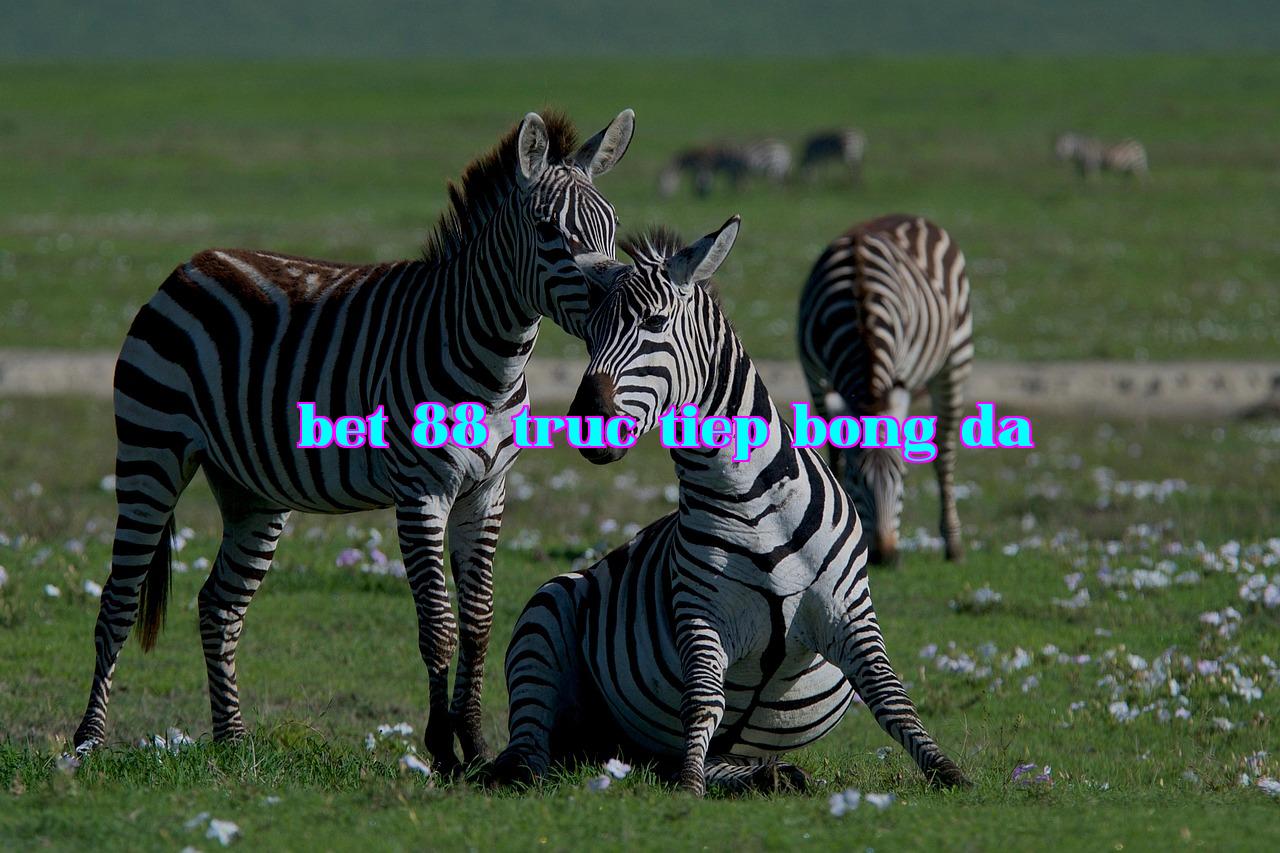 /imgposts/grtdyc50.jpg
